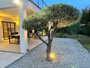 Vonkajšia záhrada v ubytovaní Villa Livia Porticcio piscine 500m plage