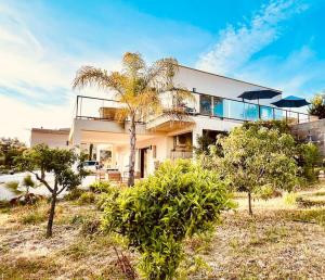 uma casa com uma palmeira em frente em Villa Livia Porticcio piscine 500m plage em Porticcio