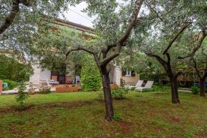 a yard with trees and chairs and a house at Apartments Mirella in Novigrad Istria