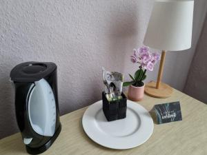 einen TV auf dem Tisch mit einer Lampe und Blumen in der Unterkunft Only for Women on Tour in Bingen am Rhein