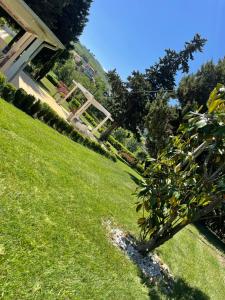 a grassy yard with a house and a tree at Villa Berenice House and Relax in San Giovanni Teatino