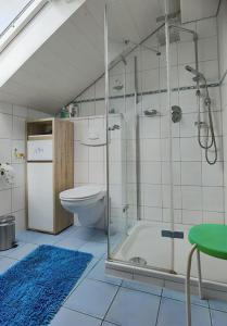 a bathroom with a shower and a toilet at Drexl-Hof in Schwifting