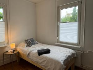 a bedroom with a bed and two windows at 90qm 4-Zimmer-Wohnung - Apartment Friedrichstraße in Vaihingen an der Enz