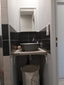 聖普斯特恩耶爾的住宿－Appartement proche CHU，一间带水槽和镜子的浴室