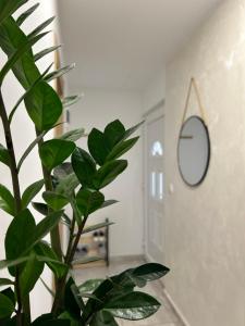 a plant in a room with a mirror at Apartman Gold lux in Surčin