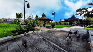 Gambar di galeri bagi Abhayagiri - Sumberwatu Heritage Resort di Yogyakarta
