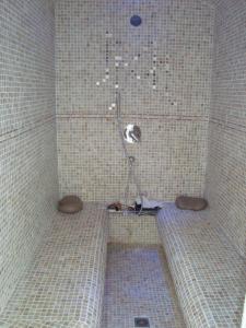 a tiled shower with a toilet in a bathroom at La Motte Melleraye in Donnery +11 photos