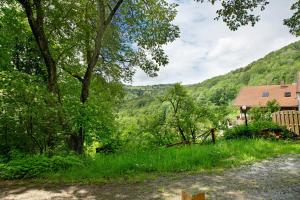 un camino de tierra que conduce a una casa en las montañas en Tinyhaus 1 en Schöllnach