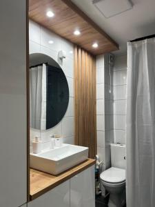 a bathroom with a sink and a toilet at Holiday Lux Apartment in Soko Banja