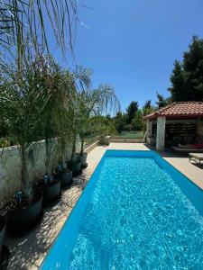 a blue swimming pool with potted plants next to a house at Sunny Seaside Villa-90 m from beach in Kriopigi