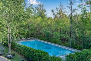 a swimming pool in the middle of a forest at Saj In The Forest, Pench National Park in Seonī