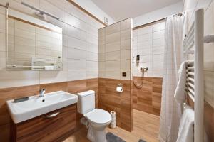 a bathroom with a toilet and a sink and a shower at Ubytování u Knotků in Nová Bystřice