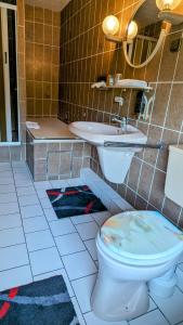 a bathroom with a toilet and a sink at Meiks Ferienwohnung in Erfde