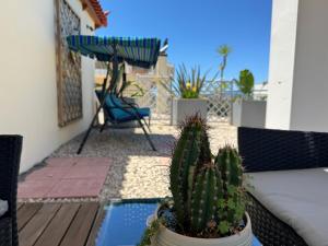 a cactus sitting on a table on a patio at Rooftop 11 in Kalamata