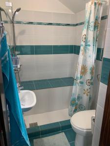 a bathroom with a toilet and a sink at Adina Vendégház in Sîncraiu
