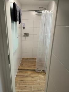 een badkamer met een douche en een douchegordijn bij Studio Zimmer in Innenstadt in Karlsruhe