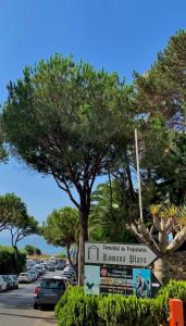 Fotografia z galérie ubytovania Marbella beachfront apartment Romana Playa Elviria v Marbelli
