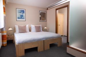 ein Schlafzimmer mit einem großen weißen Bett mit zwei Kissen in der Unterkunft Hotel Praděd Thamm in Zlaté Hory