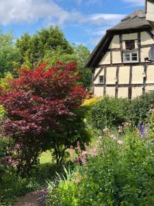 a garden in front of a house with colorful flowers at The Steppes Holiday Cottages in Hereford