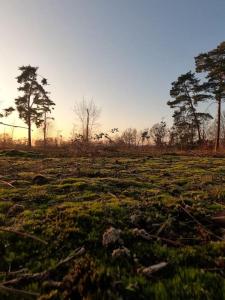 Зображення з фотогалереї помешкання Belle Gite - rust en natuur у місті Ґел
