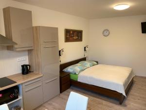 Kuchyň nebo kuchyňský kout v ubytování Apartements Studio 964