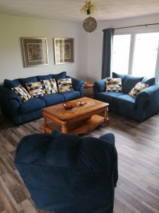 a living room with blue couches and a coffee table at Hatchet Harbour Vacation Home in Herring Neck