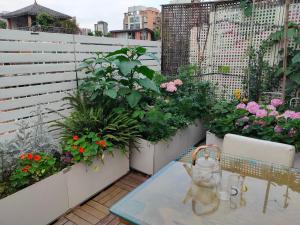 koko's garden and cats --4mins walk from jingjusi metro st ation, English-speaking service外面的花园