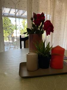 un jarrón de rosas sentado en una mesa en Apartment Vila Tara en Bihać