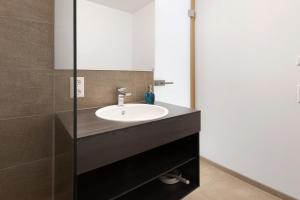 a bathroom with a sink and a mirror at Seenahes Apartment c5 in Öhningen in Öhningen