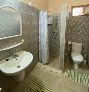 y baño con lavabo, aseo y ducha. en Djerba Rêve Vacances Emna EL Beya en Midoun