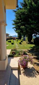 A garden outside Domus Mare Cilento