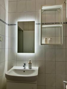 ヴォディツェにあるApartments Eniの白いバスルーム(シンク、鏡付)