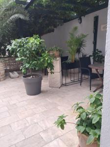 Zahrada ubytování Apartments Oaza