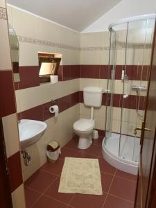 a bathroom with a toilet sink and a shower at Adina Vendégház in Sîncraiu