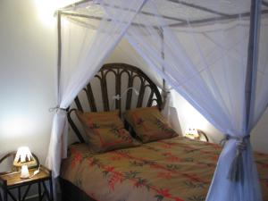 Ivato的住宿－Avamada Lodge，一间卧室配有一张带天蓬的床