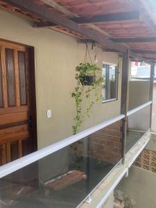 un balcón vacío con una planta en la pared en Casa Pitanga - Abraão - IG, en Abraão