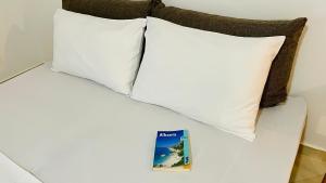 książkę siedzącą na łóżku z dwoma poduszkami w obiekcie Divjaka Apartments 3 - City Center w mieście Divjaka