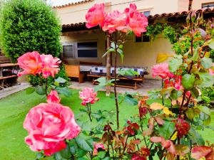 a garden with pink roses in front of a house at Casa rural Cal Codina in Prats de Rey