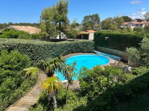 una piscina en un jardín con palmeras en Unique Pool Villa 500m from the beach, Hamptons Style with beautiful Garden, en Moliets-et-Maa