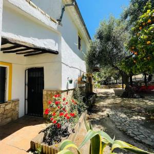 una casa con fiori di fronte a un edificio di Casa Rural Privada Belén a Pruna Altre 66 foto