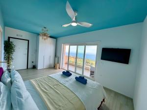 a bedroom with a bed with a ceiling fan and a window at Tropea Hills #5 in Santa Domenica