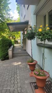 O grădină în afara Apartament Przy Parku