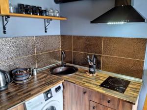 Dapur atau dapur kecil di Kazbegi Cottage Memo