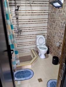 Bilik mandi di Kazbegi Cottage Memo