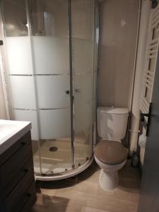 ein Badezimmer mit Dusche und Toilette in der Unterkunft Maison entre lac et océan WIFI in Lacanau + 12 Fotos