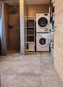 - une buanderie avec un lave-linge et un sèche-linge à côté d'un évier dans l'établissement Eibauer Apartments, à Sinsheim
