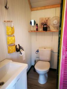 Afbeelding uit fotogalerij van Trekkershut - Tiny House - Hikers cottage in Wijster