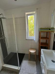 a bathroom with a shower and a sink and a window at Apartament u Zosi in Wisełka