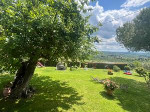 zielony ogródek z drzewem w trawie w obiekcie Il Fiorino di Badia w mieście Badia A Passignano