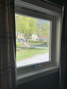 Příroda nedaleko hostelu